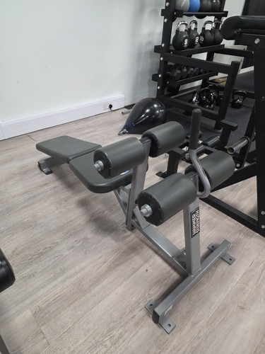 Hammer strength crunch - strength, ab